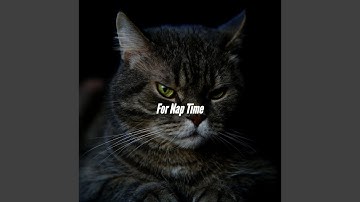 Pulsating Music for Ethereal Momentum