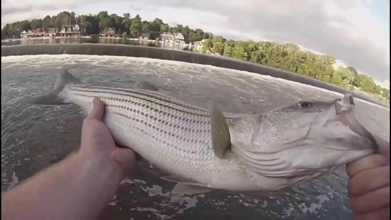 Fishing the Schuylkill River