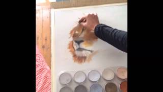 Joanne Barby - Lion Painting - PanPastel