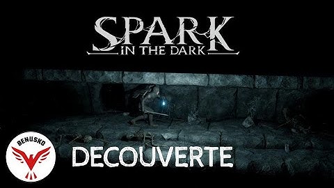 Spark in the Dark : Un Dungeon Crawler Hardcore... (RPG / Action / Aventure / Démo / FR)