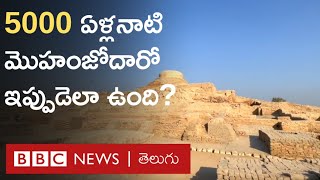 Mohanjo-daro: యునెస్కో వారసత్వ కట్టడంగా గుర్తింపు పొందిన మొహంజోదారో ఇప్పుడెలా ఉంది? | BBC Telugu