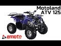 Обзор квадроцикла Motoland ATV 125