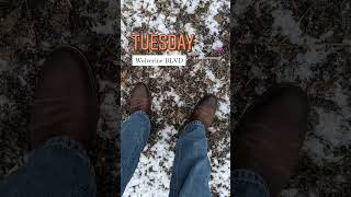 Boots This Week 123 - 127