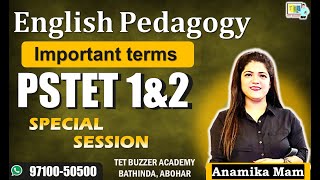 English Pedagogy|| Important Terms || PSTET-2024 ||TET BUZZER, Bti, Abh (97100-50500)