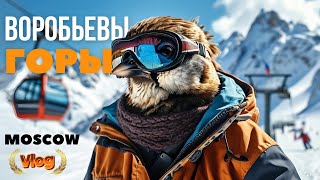 ВОРОБЬЕВЫ ГОРЫ MOSCOW | Зимняя красота Москвы | Покатушки в лужниках