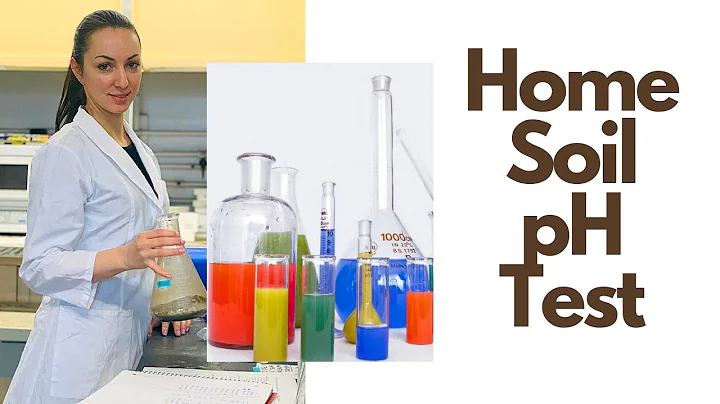 How to test soil pH at home