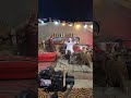 انتظروا قريبا يابو قلب وافي غناء محمد الصخر حوران مجوز ربابة تراث حوران درعا 