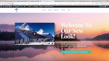Change Video in Elementor and OceanWP