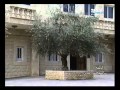 صورة ونغمة الدبية صورة ونغمة الدبية