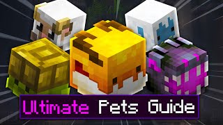 The Full Dungeons Pets Guide *Every Class* (Hypixel Skyblock)