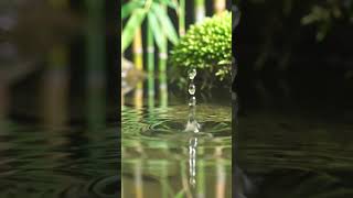 Soothing soul #soothingvisuals #deepsleepguidedmeditation #DreamTrackAI