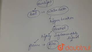 Mengapa kita menggunakan penangas air untuk merebus daun dalam alkohol? | KELAS 10 | PRAKTIK | BI...