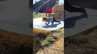 Pumpkin Patch Kid