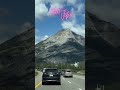 Chill vibe with my lofi! #automobile #beatstostudy #chillstudymusic #chillbeats #lofimix #focusmusic