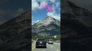 Chill vibe with my lofi! #automobile #beatstostudy #chillstudymusic #chillbeats #lofimix #focusmusic