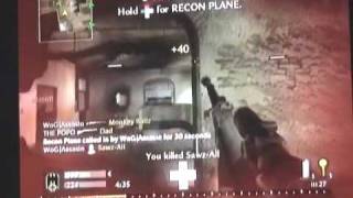 (WoG Assisin's Last) Call of Duty 5 Sniper Minitage