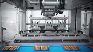 Fully Automatic Packaging Line From Schubert Robots Place Sweets In Plastic Trays