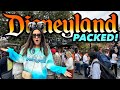 Disneyland weekly updatethe park is super crowded overflowing single rider lines grad nite  more