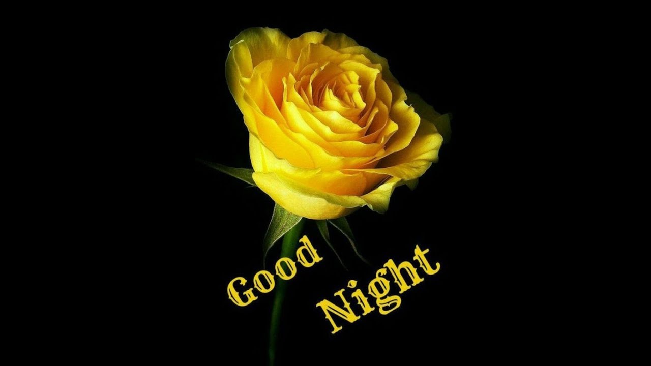 Good Night Rose Image/Wishes 369 - YouTube