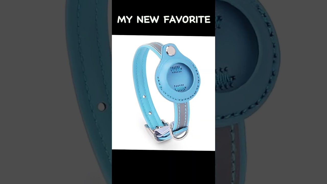 Airtag Case Collar for Cats!