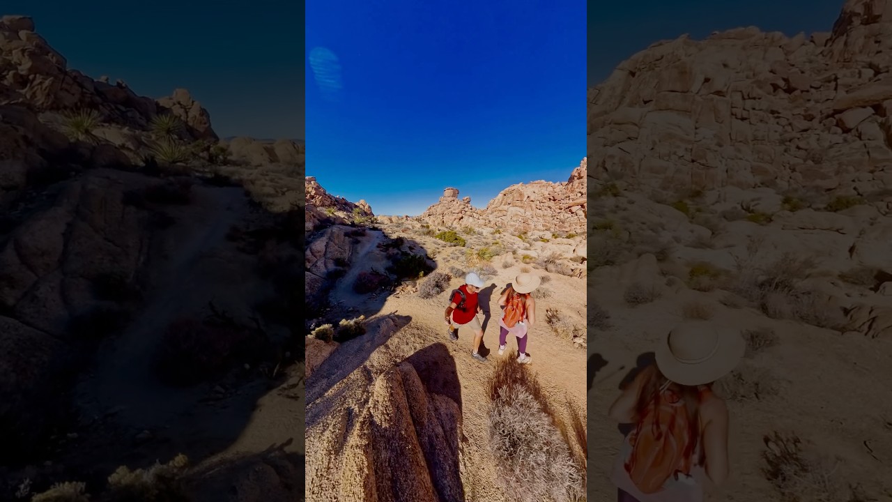 GET LOST at the MAZE 🙌🤩