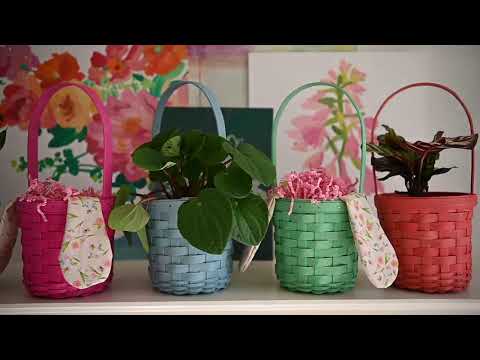 Longaberger X Paint&Petals - video from Longaberger
