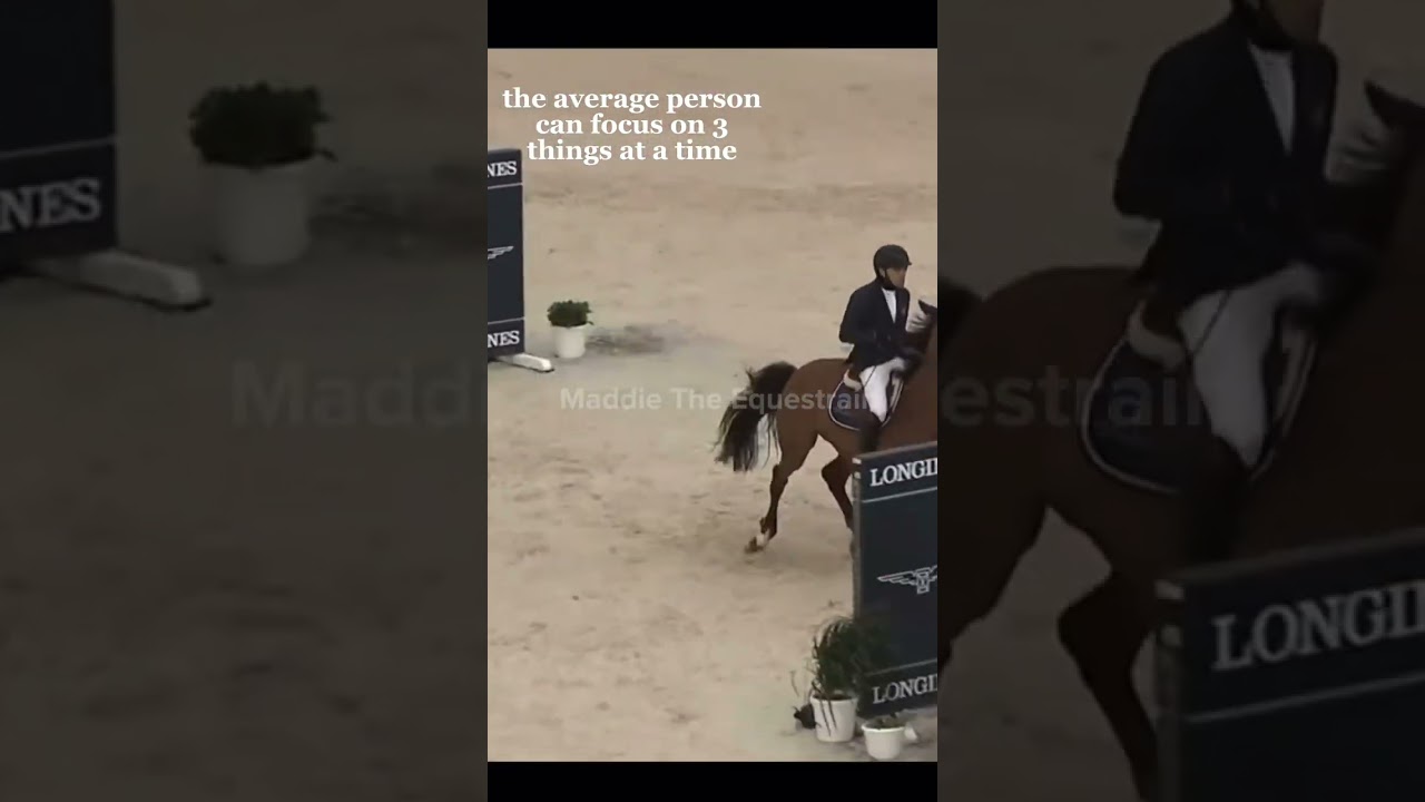 What equestrians have to focus on || Maddie The Equestrian