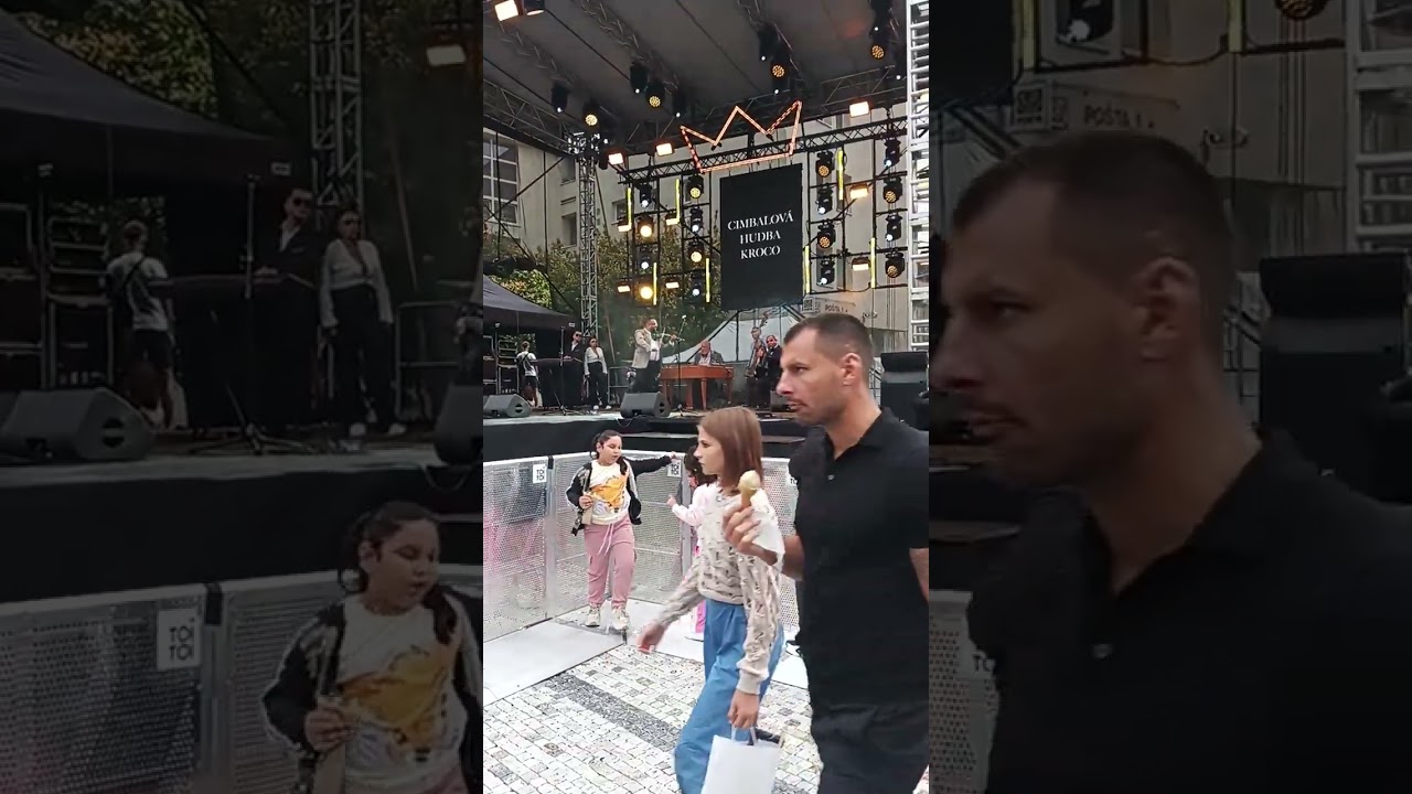 Slovakia🇸🇰 musical instruments play 