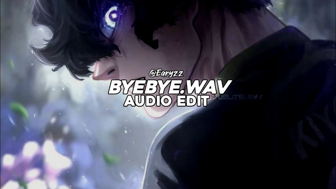byebye.wav (tiktok version) - sxcredmane [edit audio]