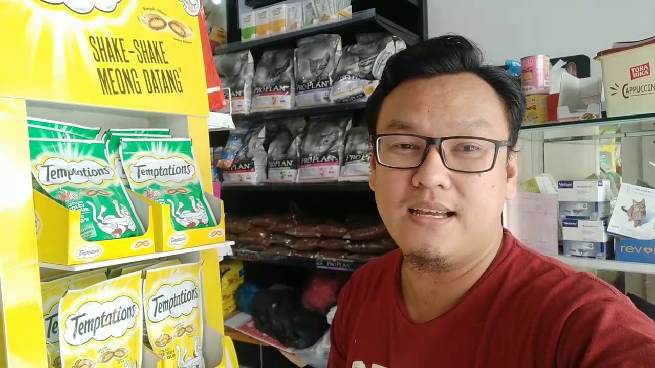 Temptation Snack Kucing, shake shake meong datang