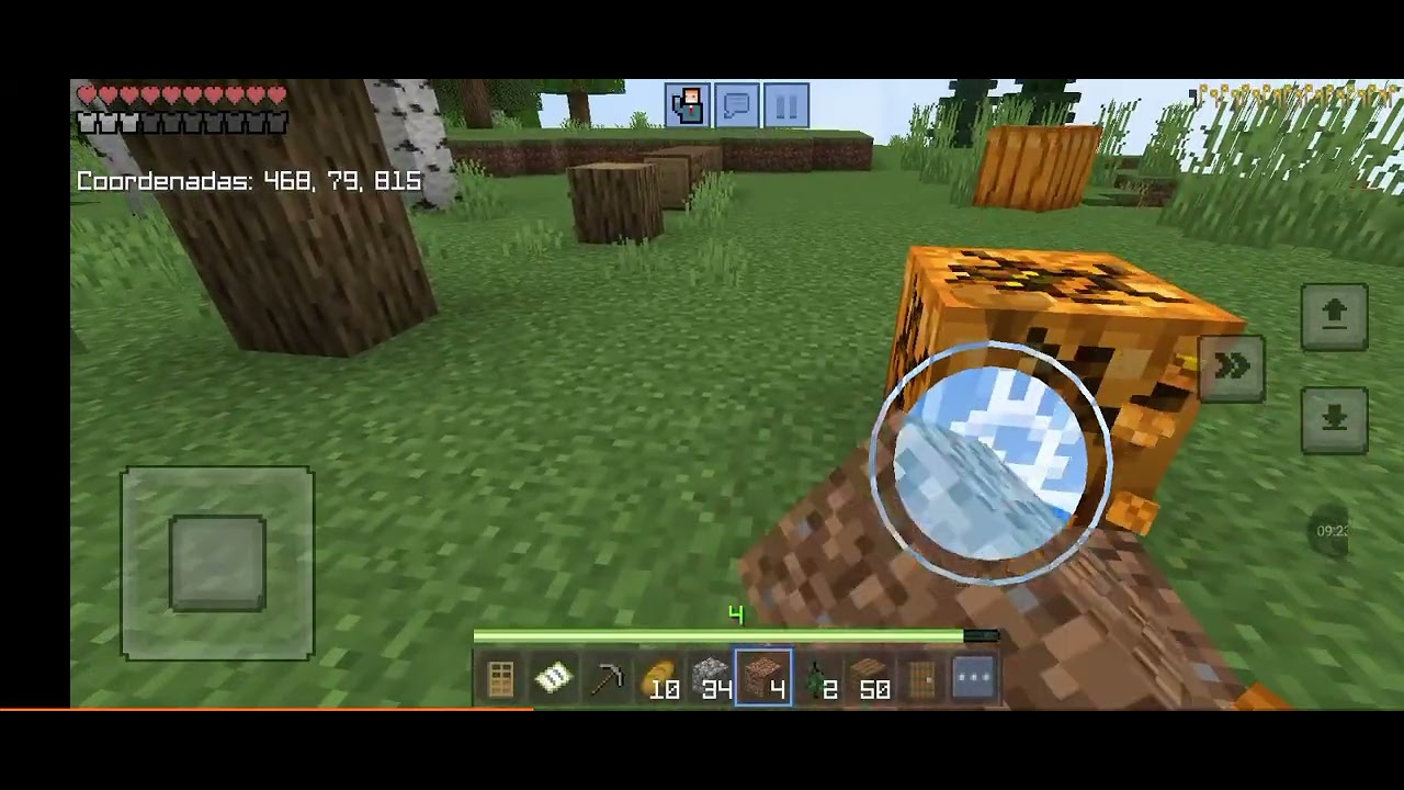 Obviamente todo lo que aparece en este video no es nada terror xd pero no es puesto por mí