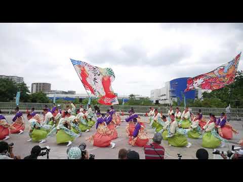 22 夢舞隊 堺よさこいかえる祭り2019