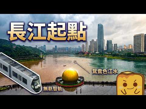 [🚄高鐵遊] 🌊鴛鴦色長江 🏊‍♂️勁多人江上遊水?! 🚊無軌都識自動行嘅智軌 🍕去鮑師傅食西餐🍴?!