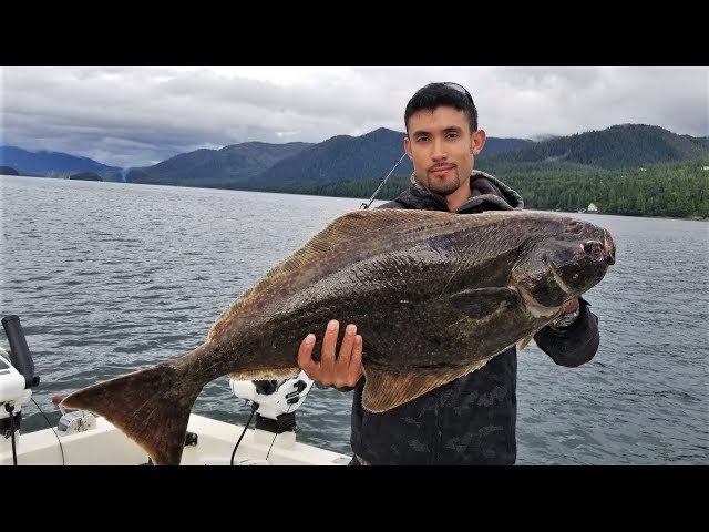 Cooking a Pacific Halibut IN ALASKA!