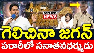 బయటపడ్డ దొంగలు : లడ్డులో జంతువూ కొవ్వు లేదు..?? తేల్చేసిన SIT | కూటమి ఔట్ - NEWS220