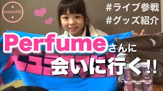 【Vlog】Perfumeさんに会いに!!ライブ参戦とグッズ紹介