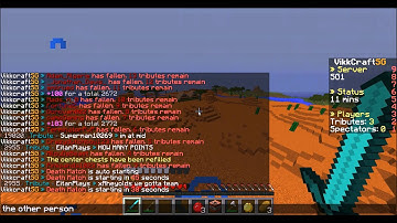Hacker On Vikkcraft Survival Games