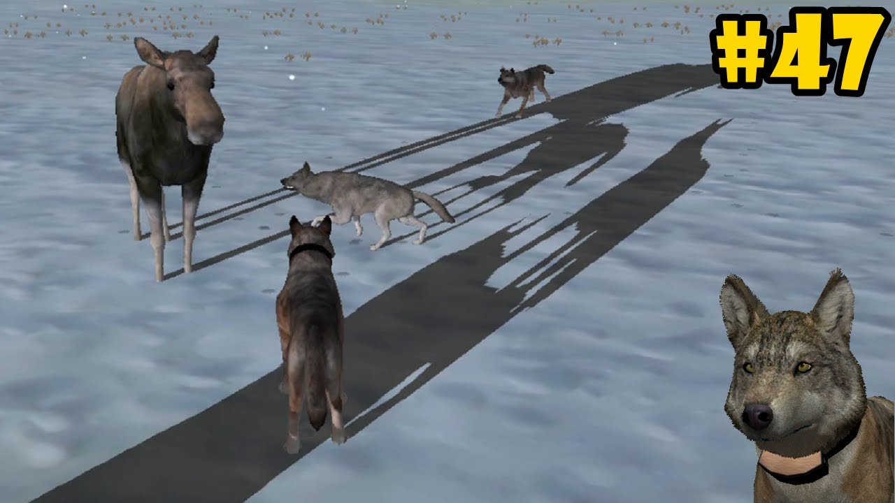 Wolf Quest 5 Wolf Quest 5