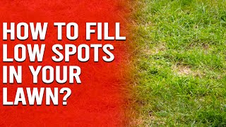 How to Fill Low Spots in Your Lawn - How to Level a Lawn by Trim That Weed - Your Gardening Resource 857 views 2 weeks ago 2 minutes, 21 seconds