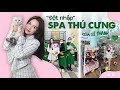 &quot;Đột nhập&quot; SPA THÚ CƯNG CỦA SĨ THANH - VPet&#39;s