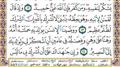 سورة لقمان مجودة بصوت الشيخ محمد محمود الطبلاوى