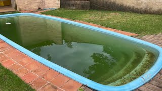 Piscina Verde ( como tratamos ) #pool #fy #viral #foryou #limpeza #satisfying #piscinas #satisfação