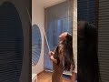 When Creative Bellydancer Don T Have Stick For Saidi Class Bellydancer Dublin Saidibell Saidi When Creative Bellydancer Don T Have Stick For Saidi Class Bellydancer Dublin Saidibell Saidi