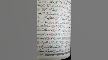 تلاوة من سورة الصافات