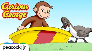 George&#39;s Lucky Ducky Day! | CURIOUS GEORGE