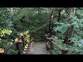 ep.16 walk_07.26.’25