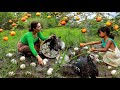 Top 2 videos mother with daughter survival in forest- catch duck and chicken pick duck eggs for food