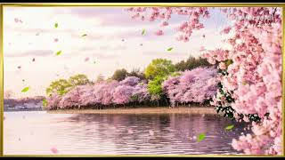 Frame TV Art with Music: Summer Picnic by the River and Sakura tree screenshot 4