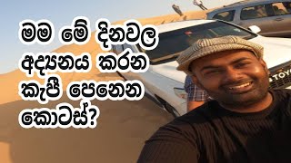 what are the Colombo share market CSE listed shares  that seems attractive ? check the ratios