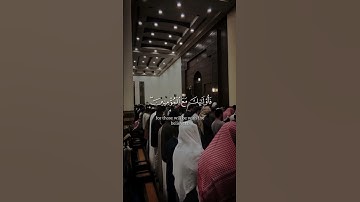 إن المنافقين في الدرك الأسفل من النار - سورة النساء - محمد اللحيدان